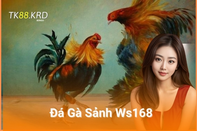 Gà Đá Sảnh Ws168 - Thiên Đường Giải Trí Cho Dân Chơi Đá Gà Đá gà sảnh Ws168